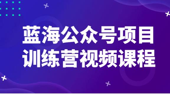 （蓝海公众号项目训练营）视频教程