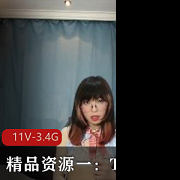 TS合集11V-3.4G