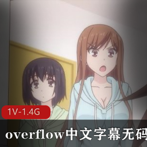 《overflow中文字幕无圣光》完整版：青梅竹马家庭乱来剧，1V-1.4G，下载观看