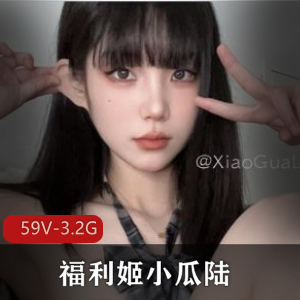 高颜值美女小瓜陆福利姬合集资源59V-3.2G